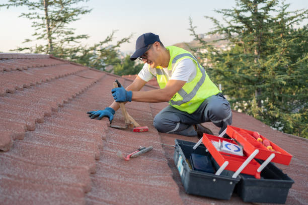 Best Metal Roofing Contractor  in Lmyra, PA