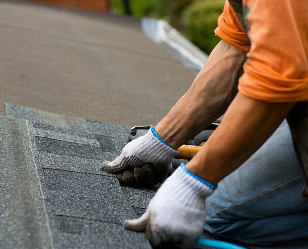 Trusted Palmyra, PA Roofing Contractor Experts